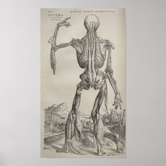 De Humani Corporis Poster (Voorkant)