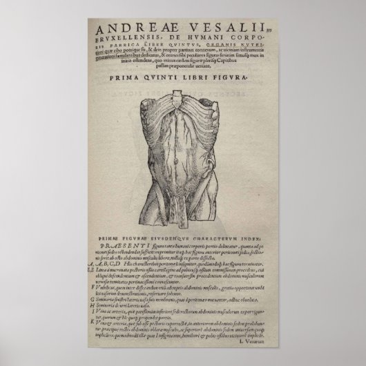 De Humani Corporis Poster (Voorkant)