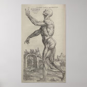 De Humani Corporis Poster (Voorkant)