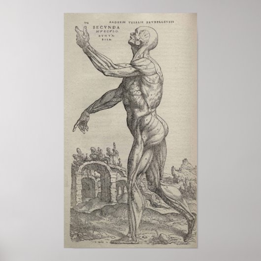 De Humani Corporis Poster (Voorkant)