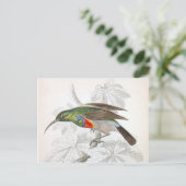 De Hummingbird Briefkaart (Staand voorkant)