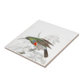 De Hummingbird Tegeltje (Zijkant)
