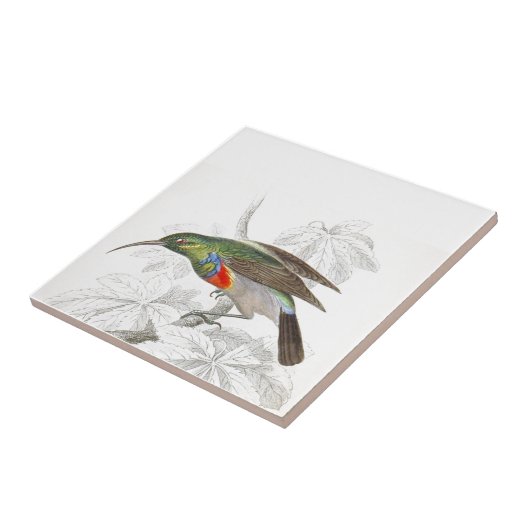 De Hummingbird Tegeltje (Zijkant)