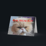 De Humor van de Perzische kat van Allan Brother Kaart<br><div class="desc">De Kaart van de Humor van de Perzische kat van Allan Brother Birthday De Kaart van de Humor van de Perzische kat van Allan Brother Birthday. U kunt deze kaart aan om het even welke naam of tekst personaliseren. Deze Perzische kat is zeer begrijpend. "Vergeet het! U kijkt miauw-Velous! (Al...</div>