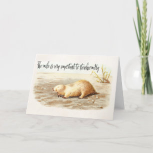 De Humor van de Wetenschap van het Citaat van de Kaart