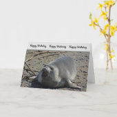 De humoristische Foto van de Verbinding van de Kaart (Gele Bloem)