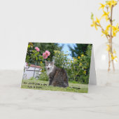 de humoristische kat van de verjaardagsgestreepte kaart (Gele Bloem)