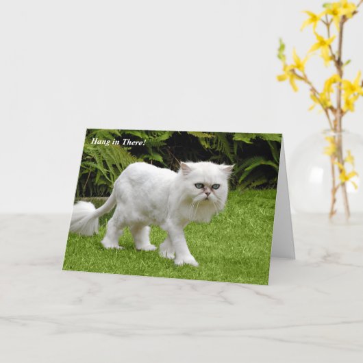 De humoristische Witte Perzische Geschoren Kaart (Gele Bloem)