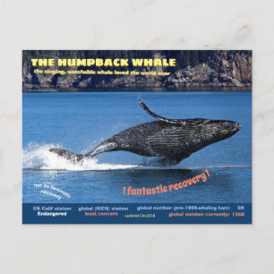 De Humpback Whale bedreigde briefkaart, Feestdagenkaart