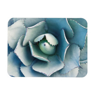 De Huntington Botanische Tuin Magneet