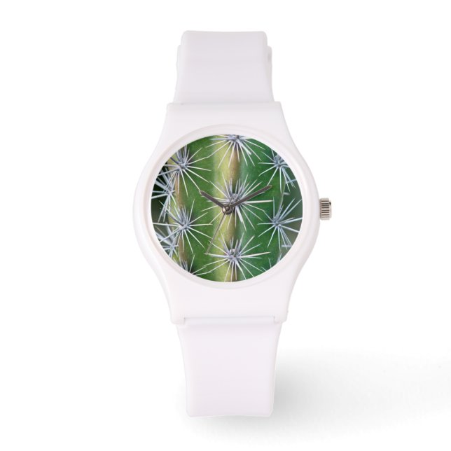 De Huntington Botanische Tuin, Octopus Cactus Horloge (Voorkant)