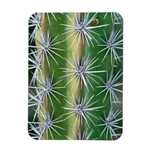 De Huntington Botanische Tuin, Octopus Cactus Magneet
