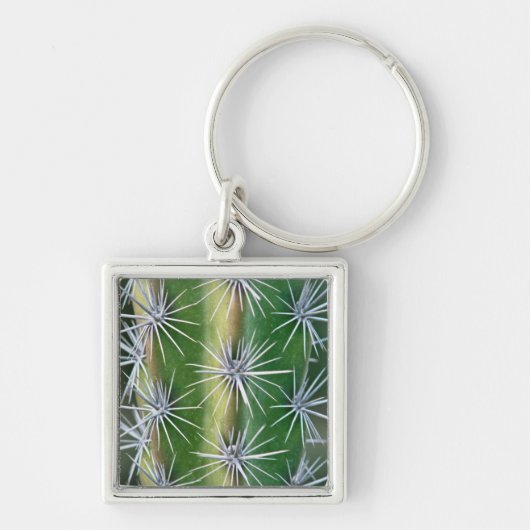 De Huntington Botanische Tuin, Octopus Cactus Sleutelhanger (Voorkant)