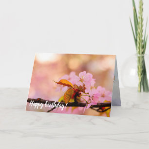 De huurder van de Sakura-bloemen in het voorjaar Kaart