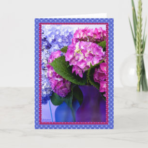 De hydrangea hortensia kleurt & grenzen I Kaart