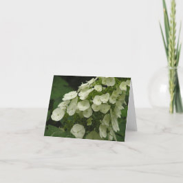 De hydrangea hortensia (quercifolia van de feestdagen kaart
