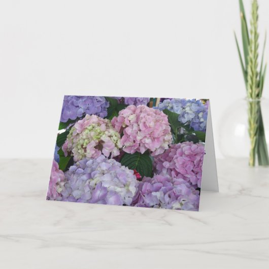 De Hydrangea hortensia's van de sympathie Kaart (Voorkant)