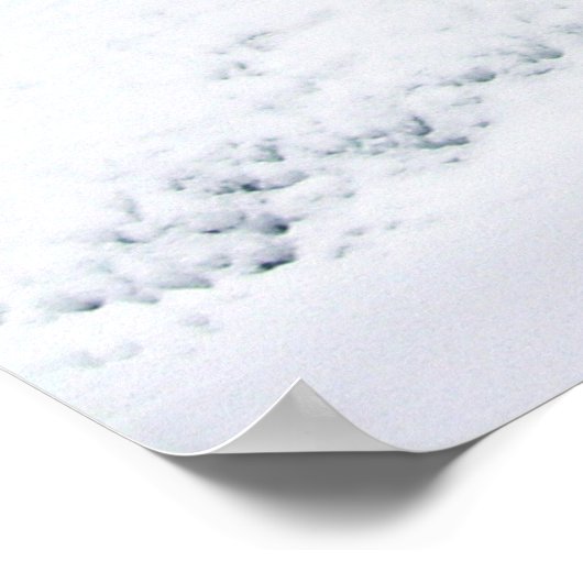 De Ice Queen en haar Palace Poster (Hoek)