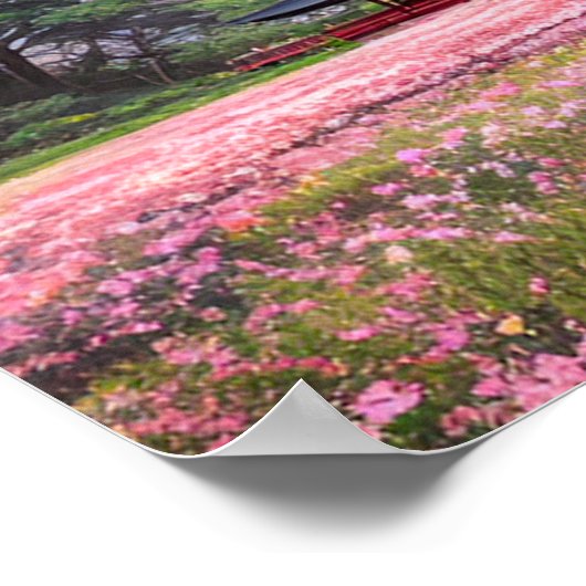 De Idyllische Roze Gebieden Poster (Hoek)