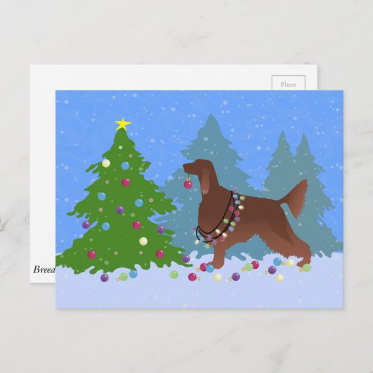 De Iers Ster Decorting Tree in het bos Briefkaart (Voorkant / Achterkant)