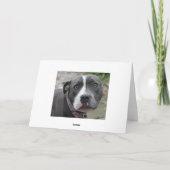 De Ierse Blauwe Staffordshire Terrier Kaart van de (Achterkant)