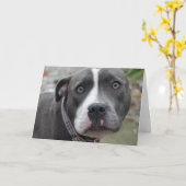 De Ierse Blauwe Staffordshire Terrier Kaart van de (Gele Bloem)
