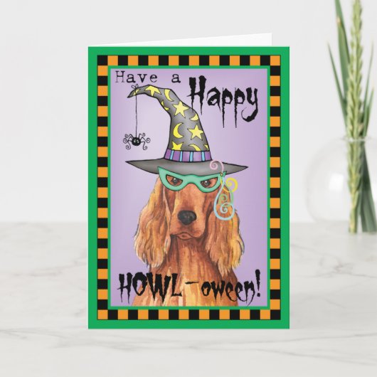 De Ierse Heks van de Zetter Kaart (Voorkant)