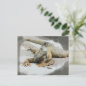 De Iguana in Ecuador Briefkaart (Staand voorkant)