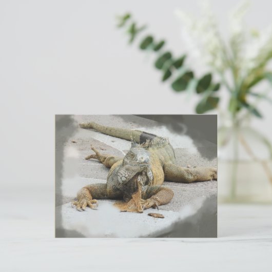 De Iguana in Ecuador Briefkaart (Staand voorkant)