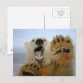 de ijsbeer, maritimus Ursus, kijkt merkwaardig in Briefkaart (Voorkant / Achterkant)