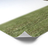 De ijsklok poster (Hoek)