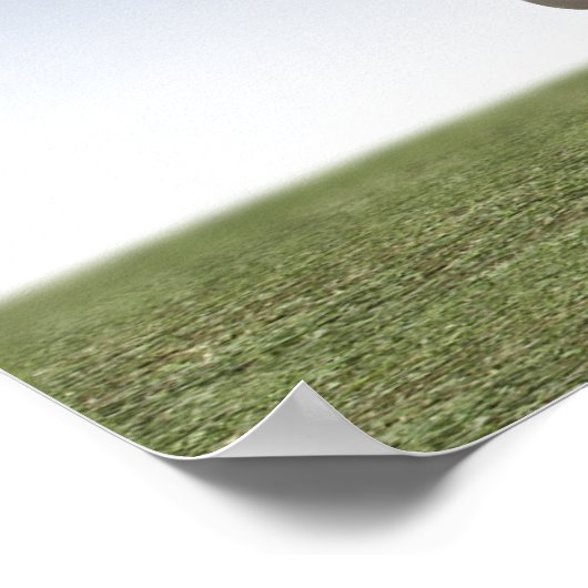 De ijsklok poster (Hoek)