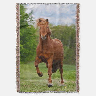 De IJslandse Pony loopt Tölt Funny Photo Horse Lov Deken