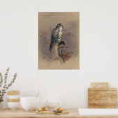 De IJslandse valk door Joseph Wolf Poster (Keuken)