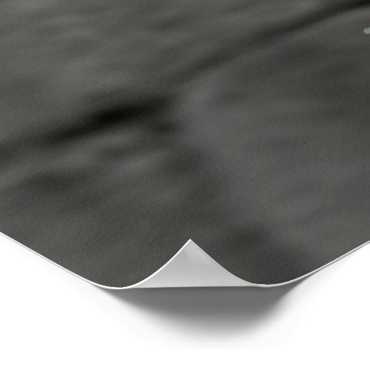 De Iliad Poster (Hoek)