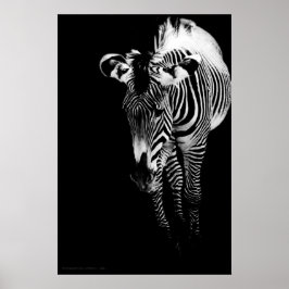 De imperiale één druk poster