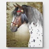 De Indiase Pony Fotoplaat (Voorkant)