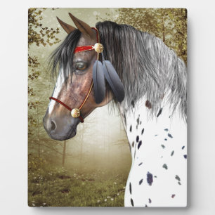 De Indiase Pony Fotoplaat