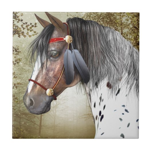 De Indiase Pony Tegeltje (Voorkant)