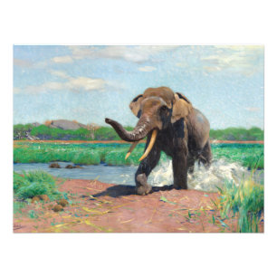 De Indische olifant bij een watergat - Wilhelm Kuh Foto Afdruk
