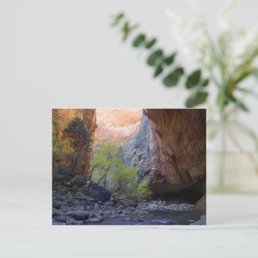 De ingang briefkaart (Staand voorkant)