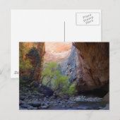 De ingang briefkaart (Voorkant / Achterkant)