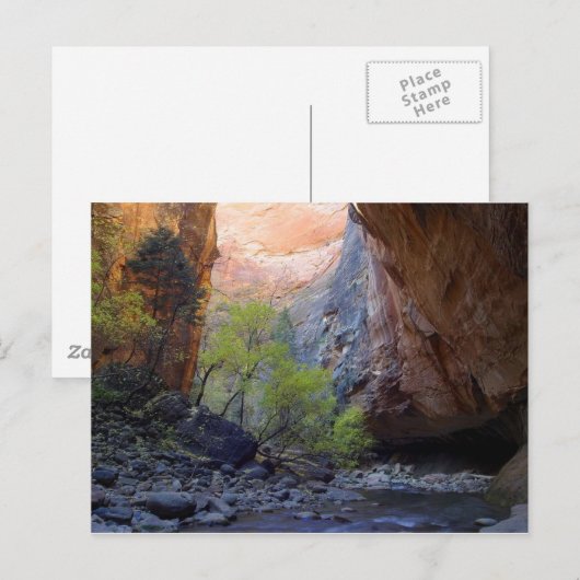 De ingang briefkaart (Voorkant / Achterkant)