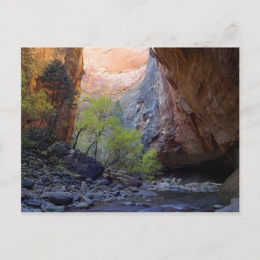 De ingang briefkaart (Voorkant)