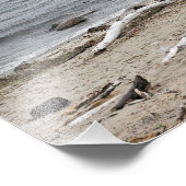 De inlaat bij Lake Montauk Point Foto Afdruk (Hoek)