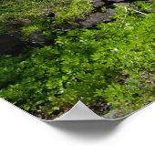 De Inn bij Buck Hill Herfsten, Pa. Poster (Hoek)