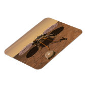 De Insight Lander opererend op het oppervlak van M Magneet (Linkerzijde)