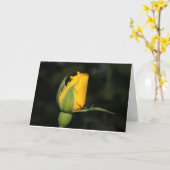 De inspiratie nam kaart met bijbelvers toe (Gele Bloem)