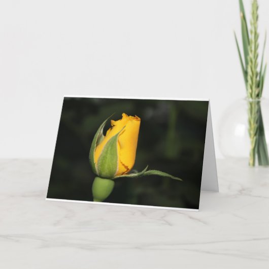 De inspiratie nam kaart met bijbelvers toe (Voorkant)