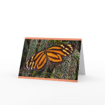 De Inspiratie van de vlinder